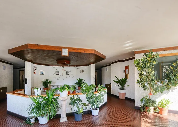 Cozy In With Wifi * 브루일서비니아